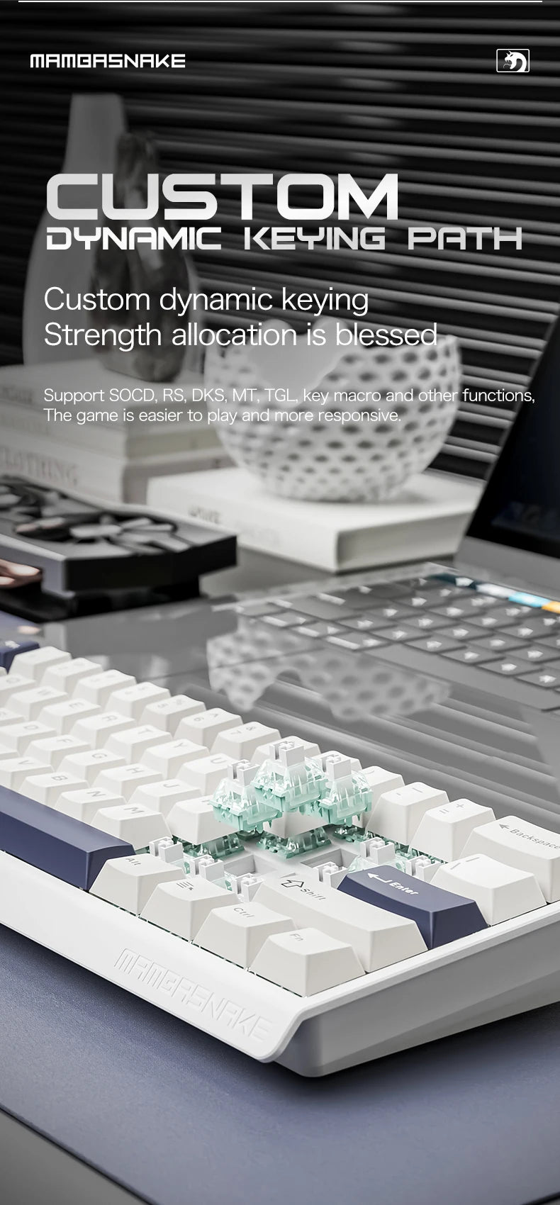MAMBASNAKE X60HE Rapid Trigger Wireless Gaming Keyboard, 0.01mm RT Accuracy, 8000hz, Magnetic Switch, RGB, Snap Tap, DKS, TGL