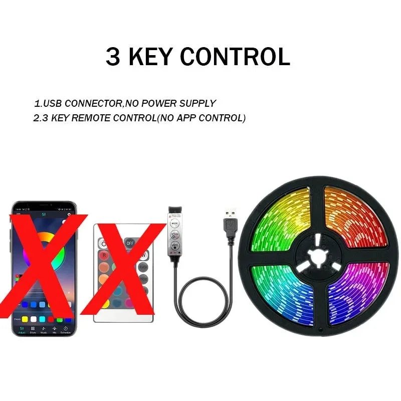 Bluetooth USB LED Strip Light 5050 SMD 5V RGB LED Lights Flexible LED Lamp Tape Ribbon TV Backlight Diode for Home Room Decor