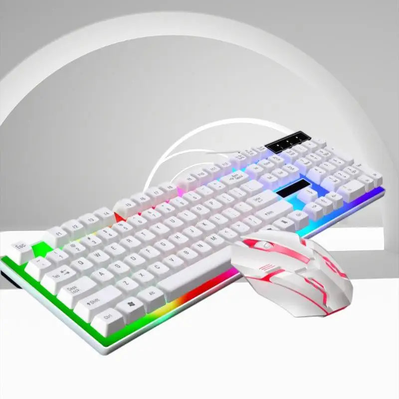 USB Wired Gaming Keyboard and Mouse Set, RGB Backlit Mechanical Keyboard with Blue Switch,Ergonomic Mouse for PC/Lapto